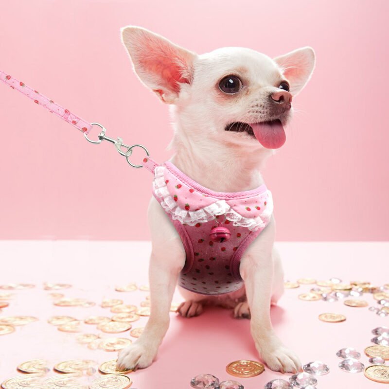 The chest harness with a bell and dog leash