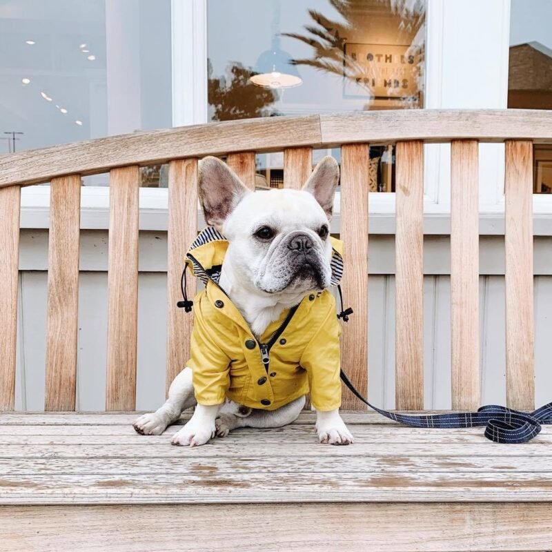 High-Density Twill Windproof and Waterproof Engraved Classic British-style raincoat - Image 3